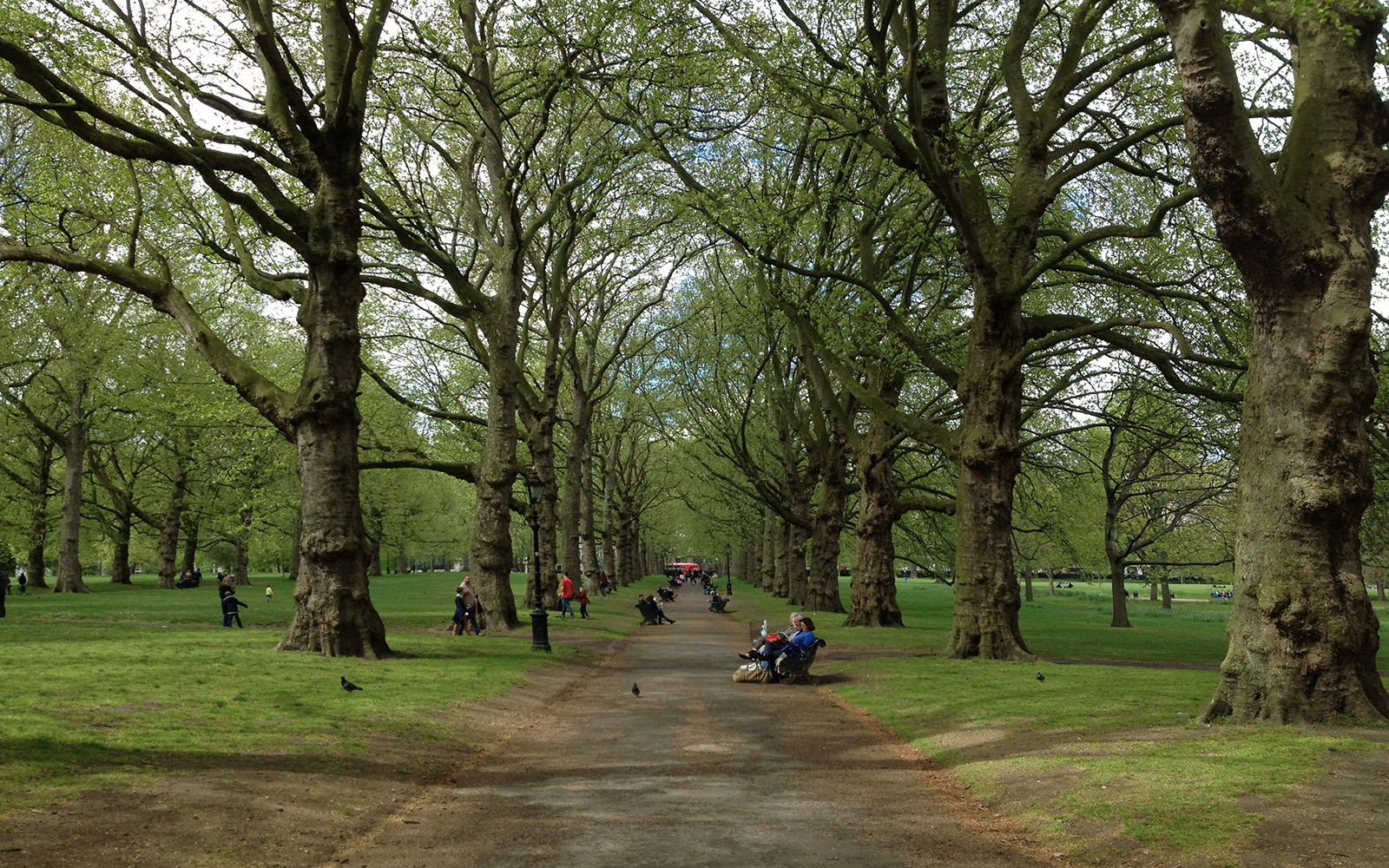 Green Park, May 2015