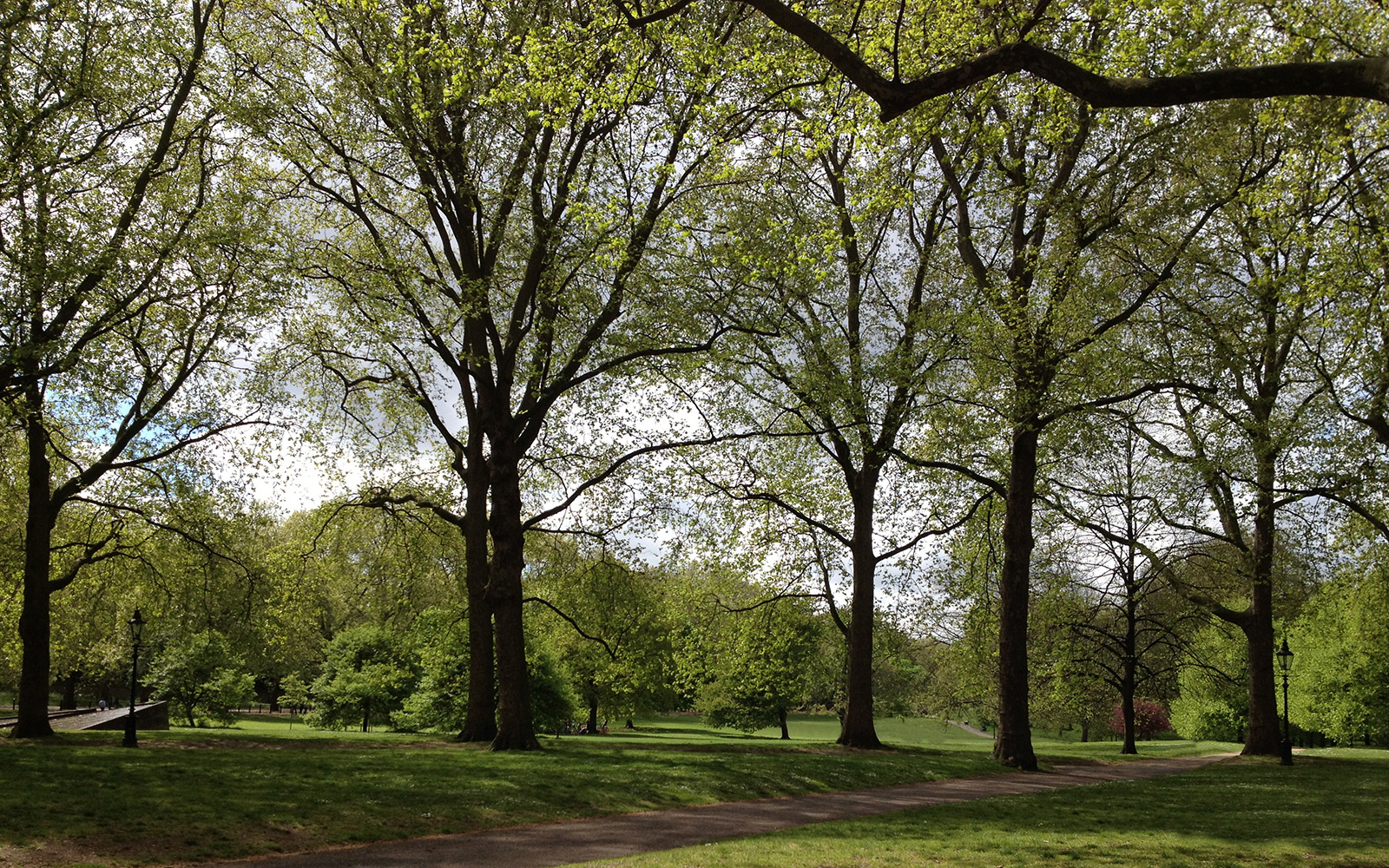 Green Park, May 2015